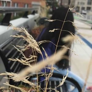 Meet your Posher, Wah